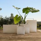 Curved Square Ficonstone Indoor/Outdoor Planters