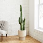 Faux Potted Cactus Plant &amp; Large Bishop Planter Bundle
