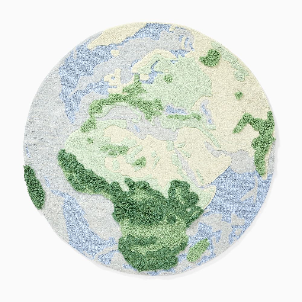 Earth Rug | West Elm