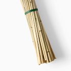 Dried Natural Avena Stems