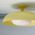 Polly Modern Metal Flush Mount (18")