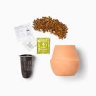 Modern Sprout Modern Terracotta Grow Kit