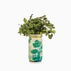 Modern Sprout Garden Jar