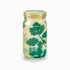 Modern Sprout Garden Jar