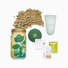 Modern Sprout Garden Jar