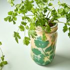Modern Sprout Garden Jar