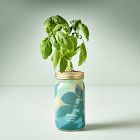 Modern Sprout Garden Jar