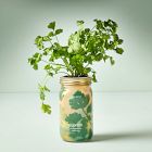 Modern Sprout Garden Jar