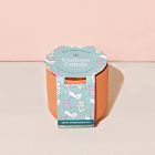 Modern Sprout Tiny Terracotta Grow Kits - Greens