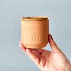 Modern Sprout Tiny Terracotta Grow Kit - Fruit