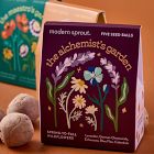 Modern Sprout Bespoke Blooms Seed Balls (Set of 5)