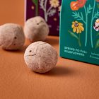 Modern Sprout Bespoke Blooms Seed Balls (Set of 5)