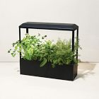 Smart Brass Growhouse, Powder Coated Steel Frame, Matte Black