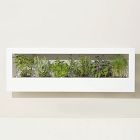 Modern Sprout Smart Landscape Growframe