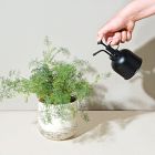 Modern Sprout Plant Mister