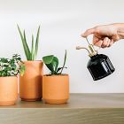 Modern Sprout Plant Mister
