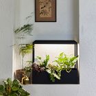 Modern Sprout Smart Growhouse