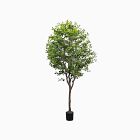 Faux Potted Aralia Tree