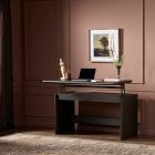 Caeluna Standing Desk (55")