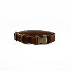 Steele Canvas Dog Collar