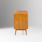 Mid-Century Modular Low Storage Cabinet (66")