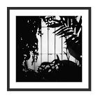 Greenhouse Shadows Framed Wall Art by Annie Spratt