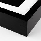 Greenhouse Shadows Framed Wall Art by Annie Spratt