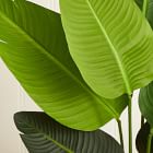 Faux Potted Travelers Palm Tree