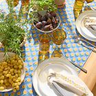 Soil to Studio Mehak Block-Printed Cotton Napkins (Set of 2)