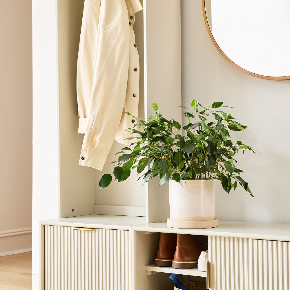 Beige jacket hanging inside wardrobe with plant on countertop