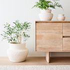 Form Studies Ceramic Planters