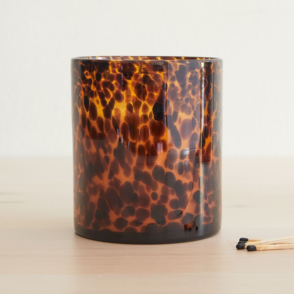 Tortoise Glass Candles - Tonka & Sandalwood - 3 Wick, Set of 2