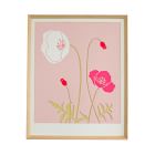 Molly M Framed Wall Print - Iceland Poppy