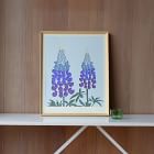 Molly M Framed Wall Print - Lupin