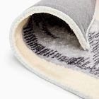 National Geographic T-Rex Rug