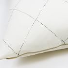 Anchal Project Euro Sham