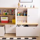 Ziggy Storage Essentials Set