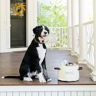 Steele Canvas Dog Toy Basket