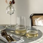 Zwiesel Glas Level Crystal Sparkling Wine Tumblers (Set of 2)