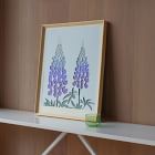 Molly M Framed Wall Print - Lupin