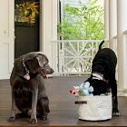 Steele Canvas Dog Toy Basket