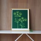 Molly M Framed Wall Print - Wild Fennel