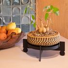 Bal Multipurpose Plant Stand