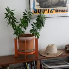 Palla Multipurpose Plant Stand