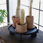 Reed Multipurpose Plant Stand