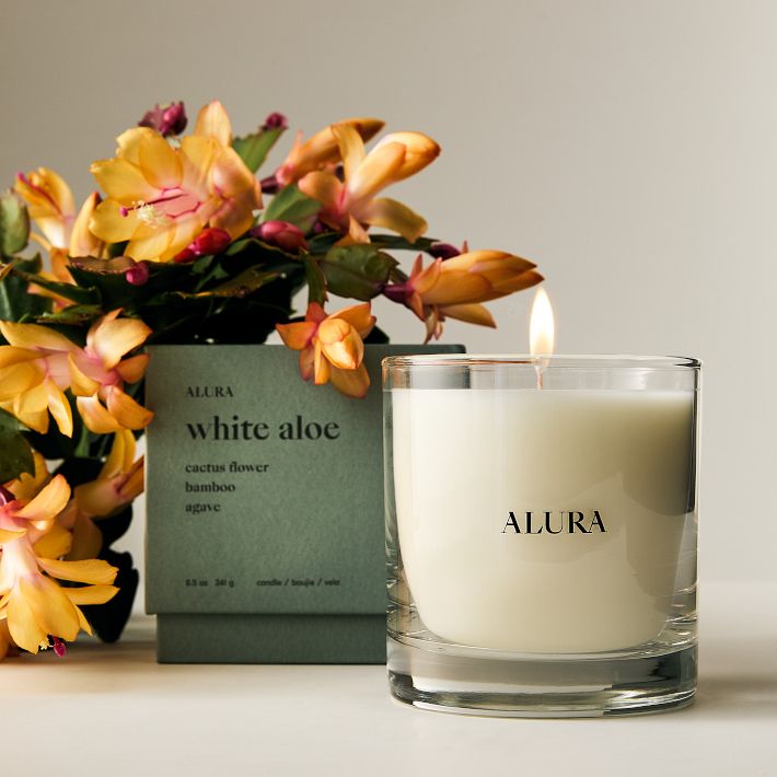Alura Homescent Collection - White Aloe | West Elm