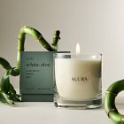 Alura Homescent Collection - White Aloe