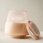 Rove Homescent Collection - Salted Grapefruit