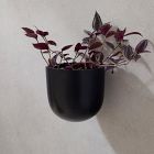 Ceramic Indoor/Outdoor Wallscape Planters