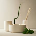 West Elm Homescent Collection - Mint Tea
